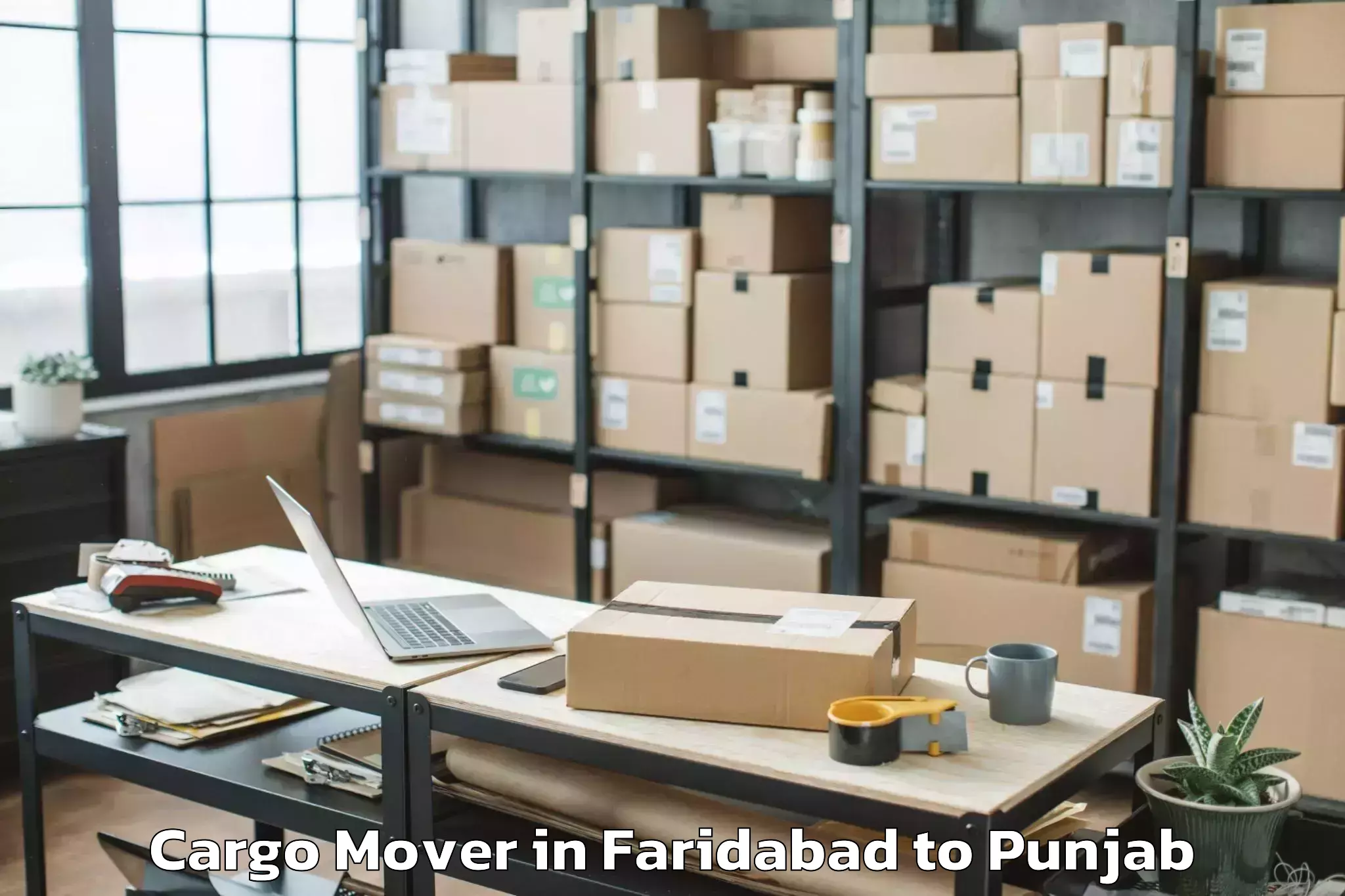 Get Faridabad to Jang Cargo Mover